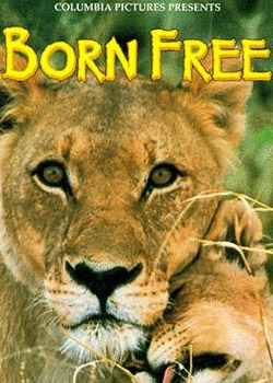 Born Free Movie